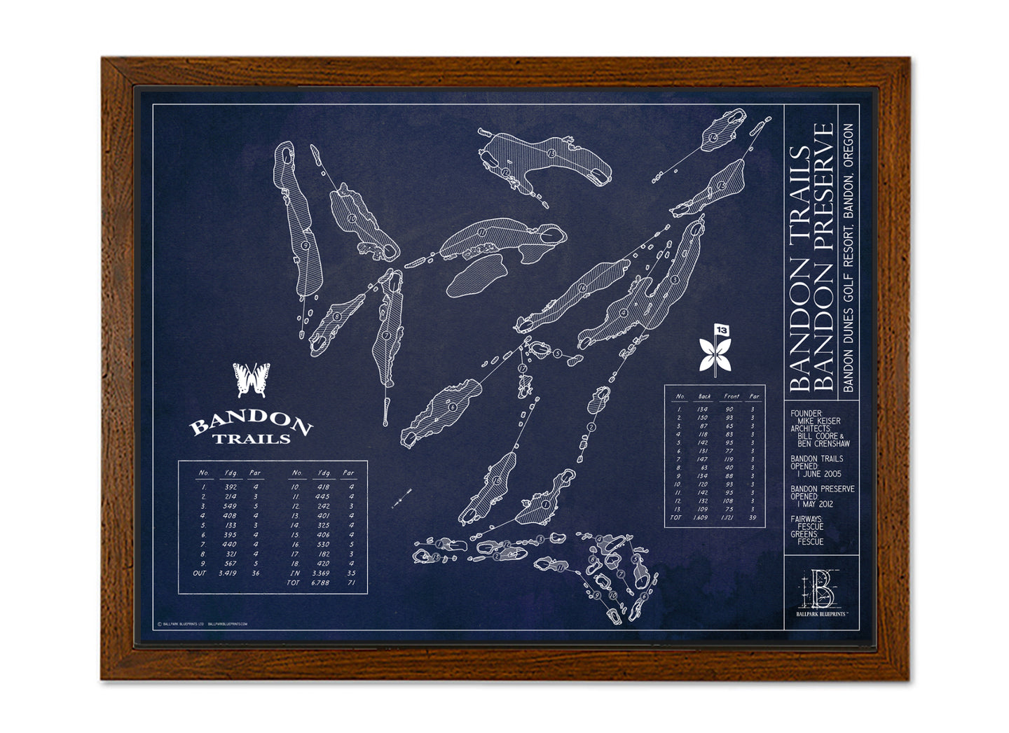 Ballpark Blueprint- Framed Canvas